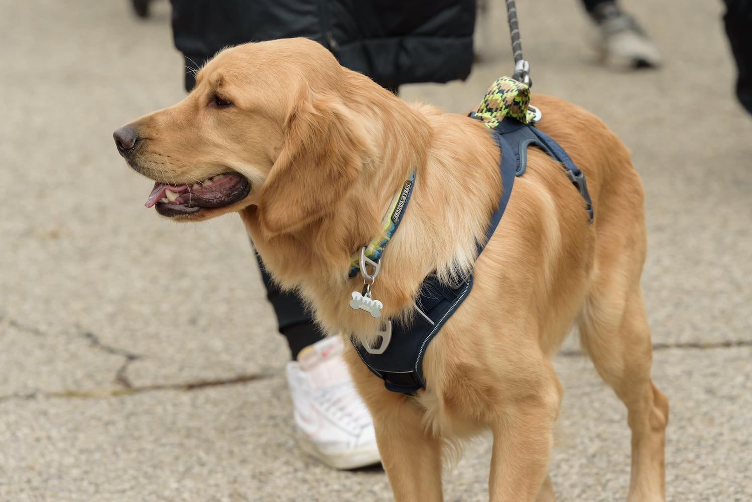 PHOTOS: 2024 Christmas in Historic Springboro Parade & Festival