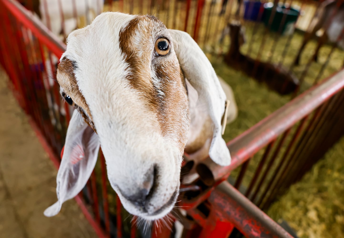 072423 Butler County Fair