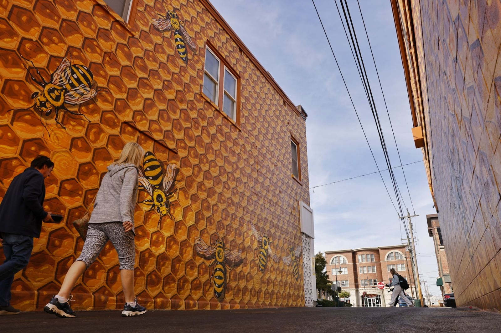 Local artist, Joe Prescher, has created the Oxford Hive mural that looks like a bee hive in the alley at 23 E. High St. (by Mac & Joe's) in Oxford. NICK GRAHAM/STAFF