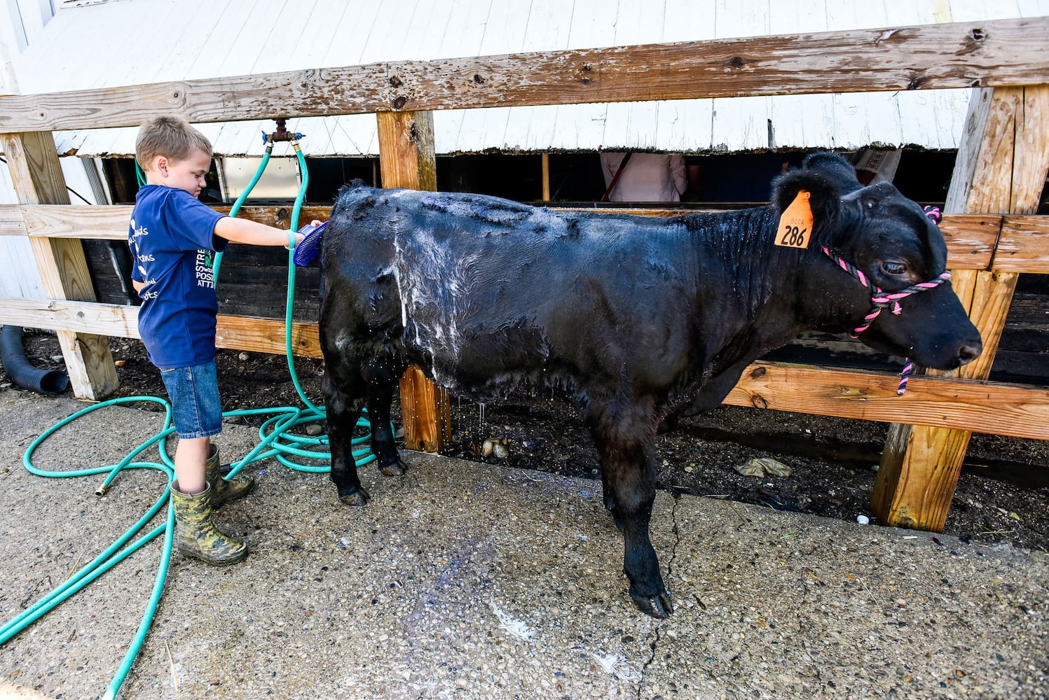 Butler County Fair 2018