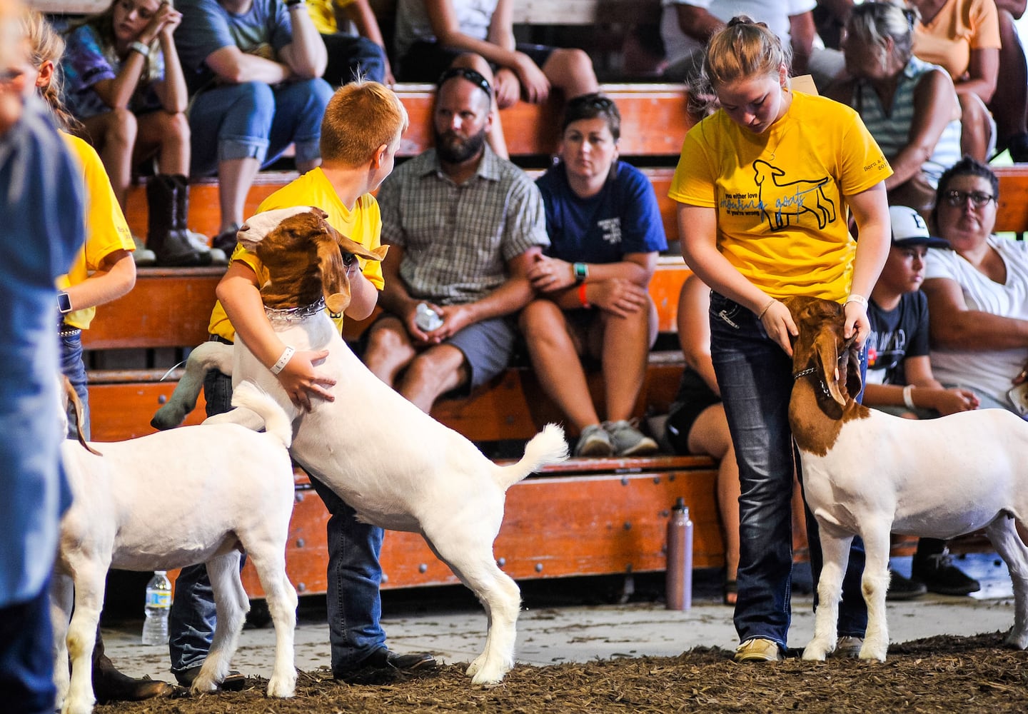 Scenes from the Butler County Fair 2019