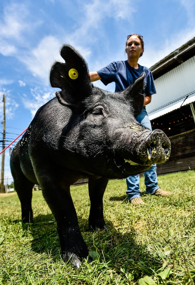 PHOTOS: Butler County Fair 2018