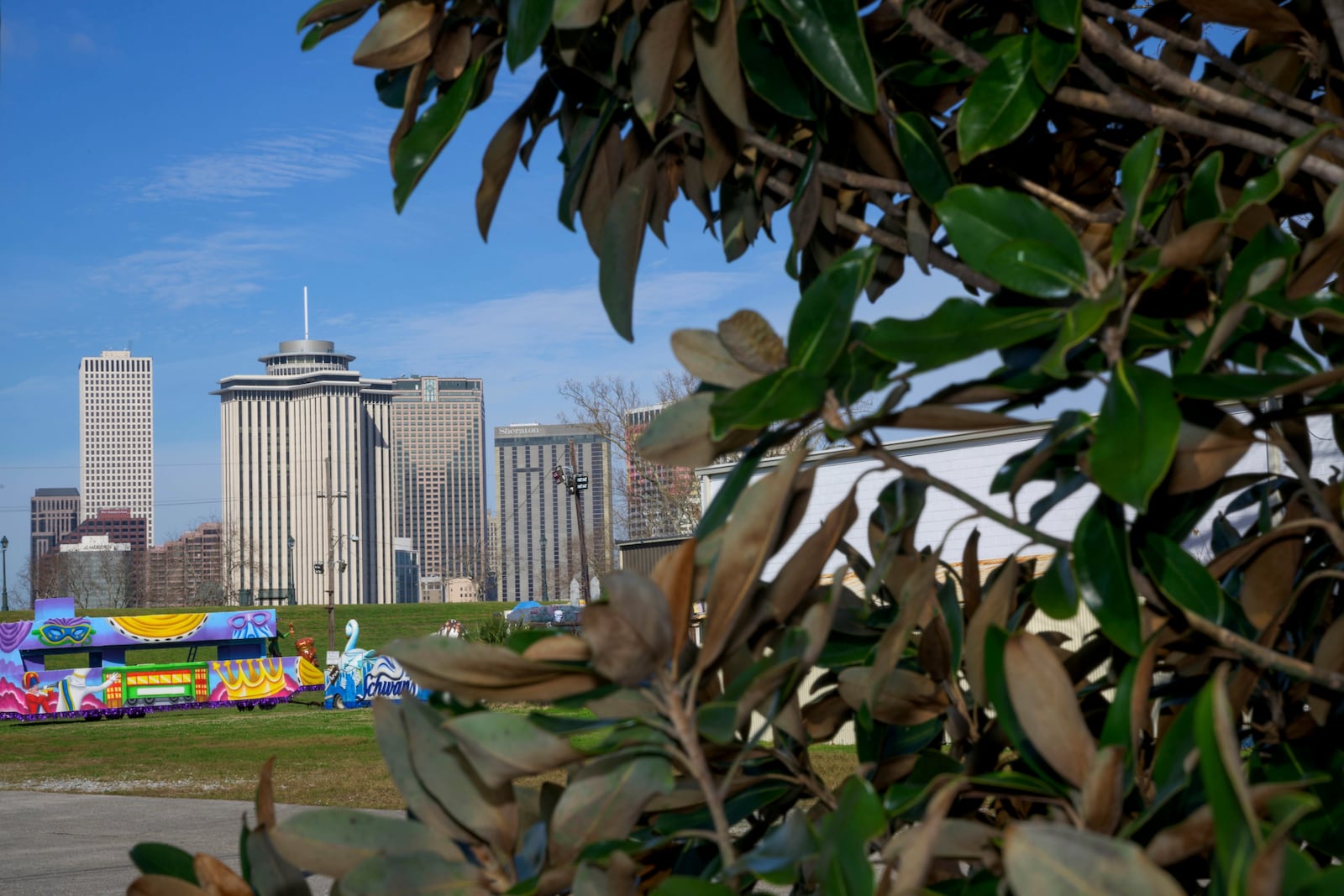 A tree planted by SOUL (Sustaining Our Urban Landscape), is visible near some Mardi Gras floats and the skyline of New Orleans in the background in the Algiers neighborhood on the west bank of the Mississippi River on Thursday, Feb. 27, 2025. (AP Photo/Matthew Hinton)