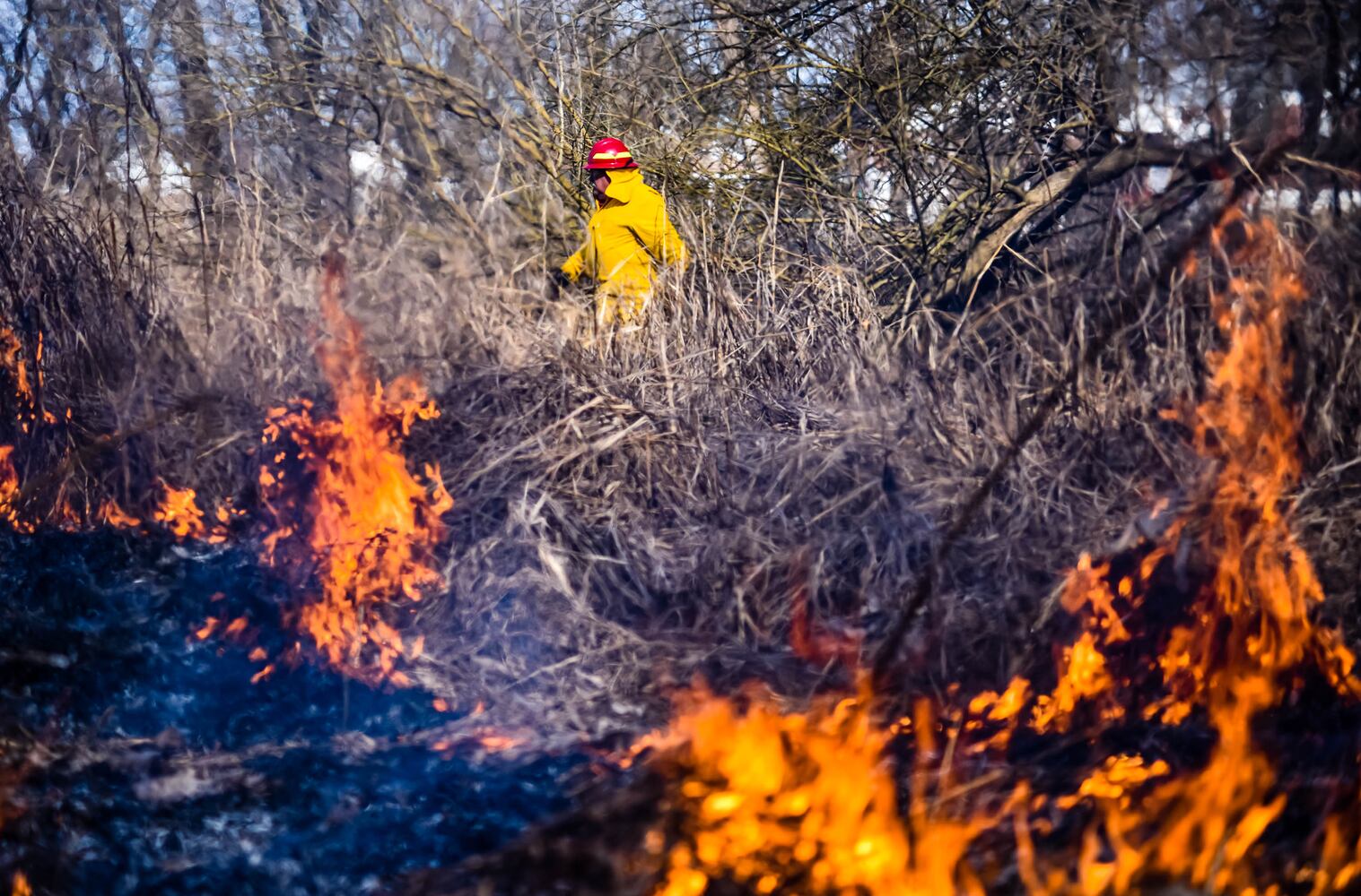 Controlled burns at Riverside Natural Area in Hamilton