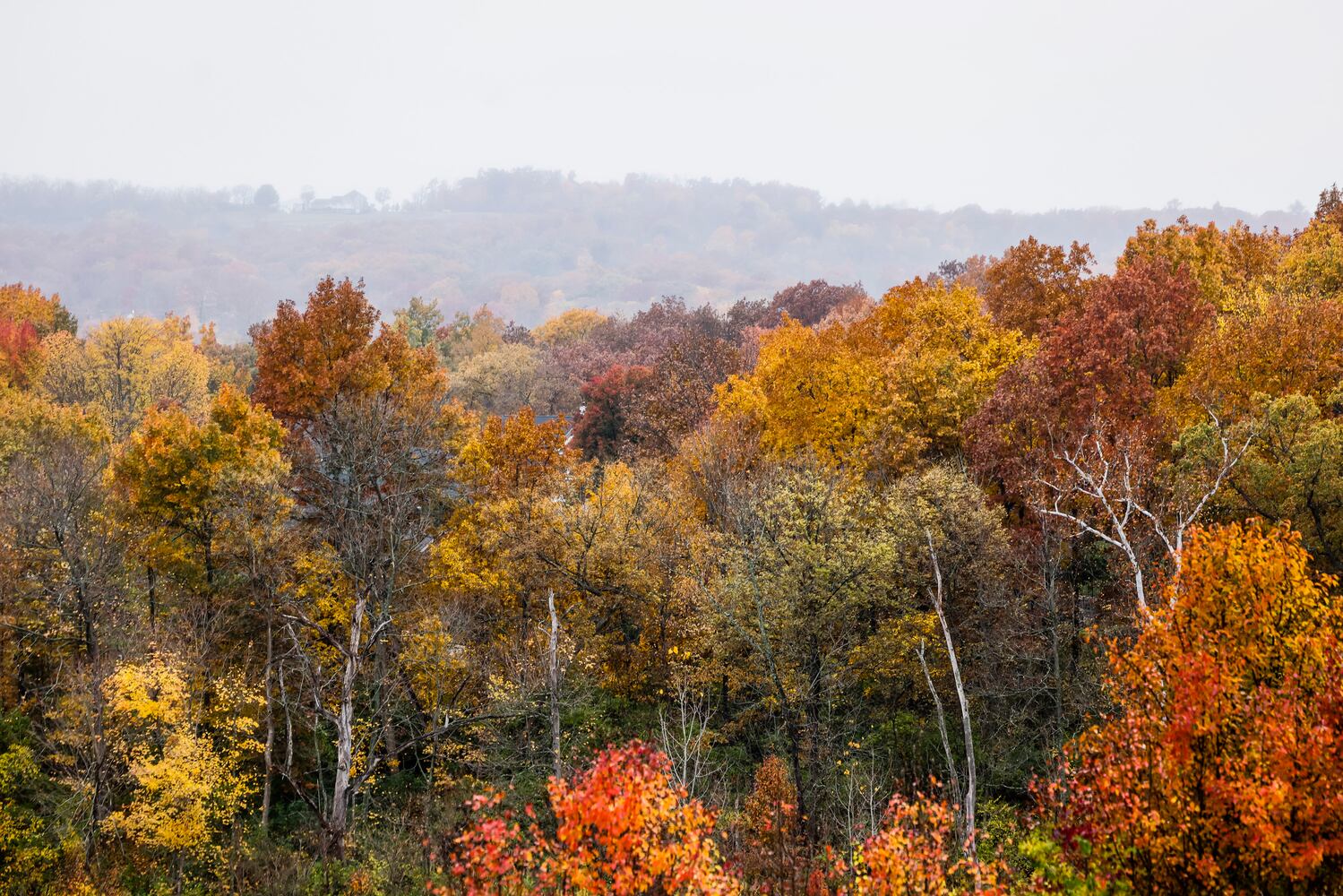 102622 fall colors butler county