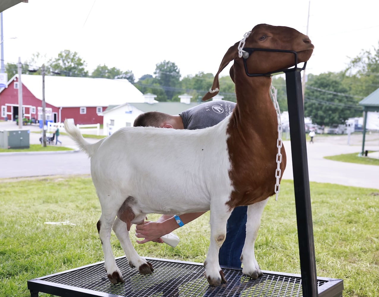 071923 Warren County Fair