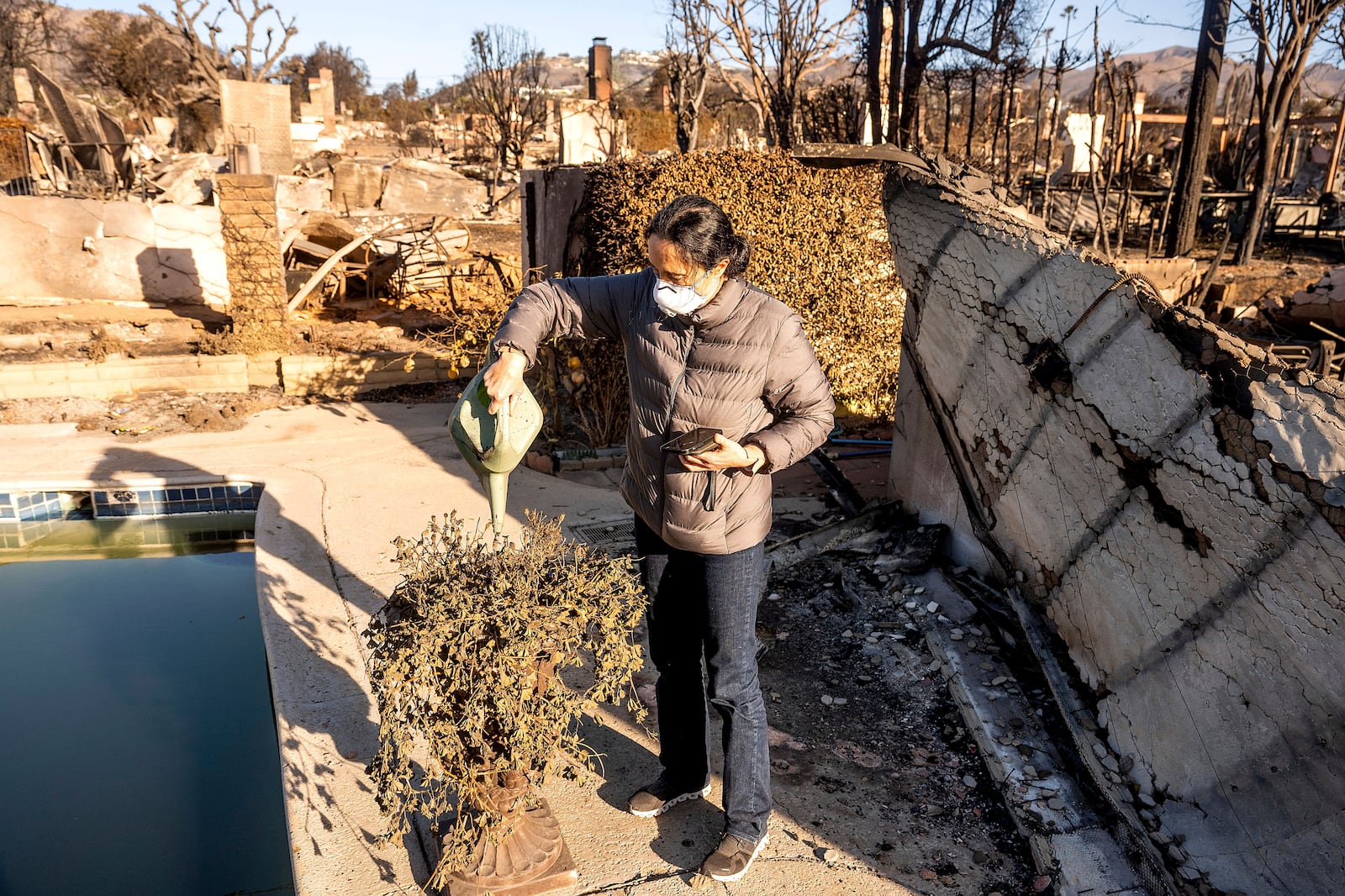 FILE - Marjan Rajabi waters a scorched plant at her Pacific Palisades home, which was destroyed by the Palisades Fire, on Sunday, Jan. 12, 2025, in Los Angeles. "It's the hope of rebuilding," Rajabi said. (AP Photo/Noah Berger, File)