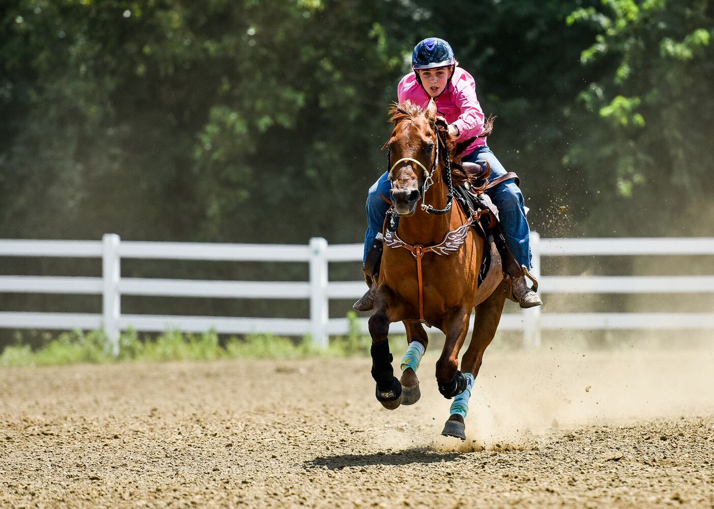 Butler County Fair 2018