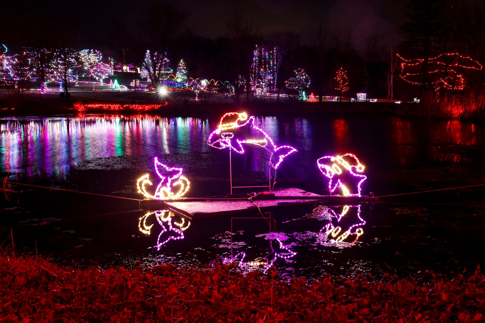 The 2022” drive-through holiday light display at Pyramid Hill Sculpture Park & Museum. NICK GRAHAM/STAFF