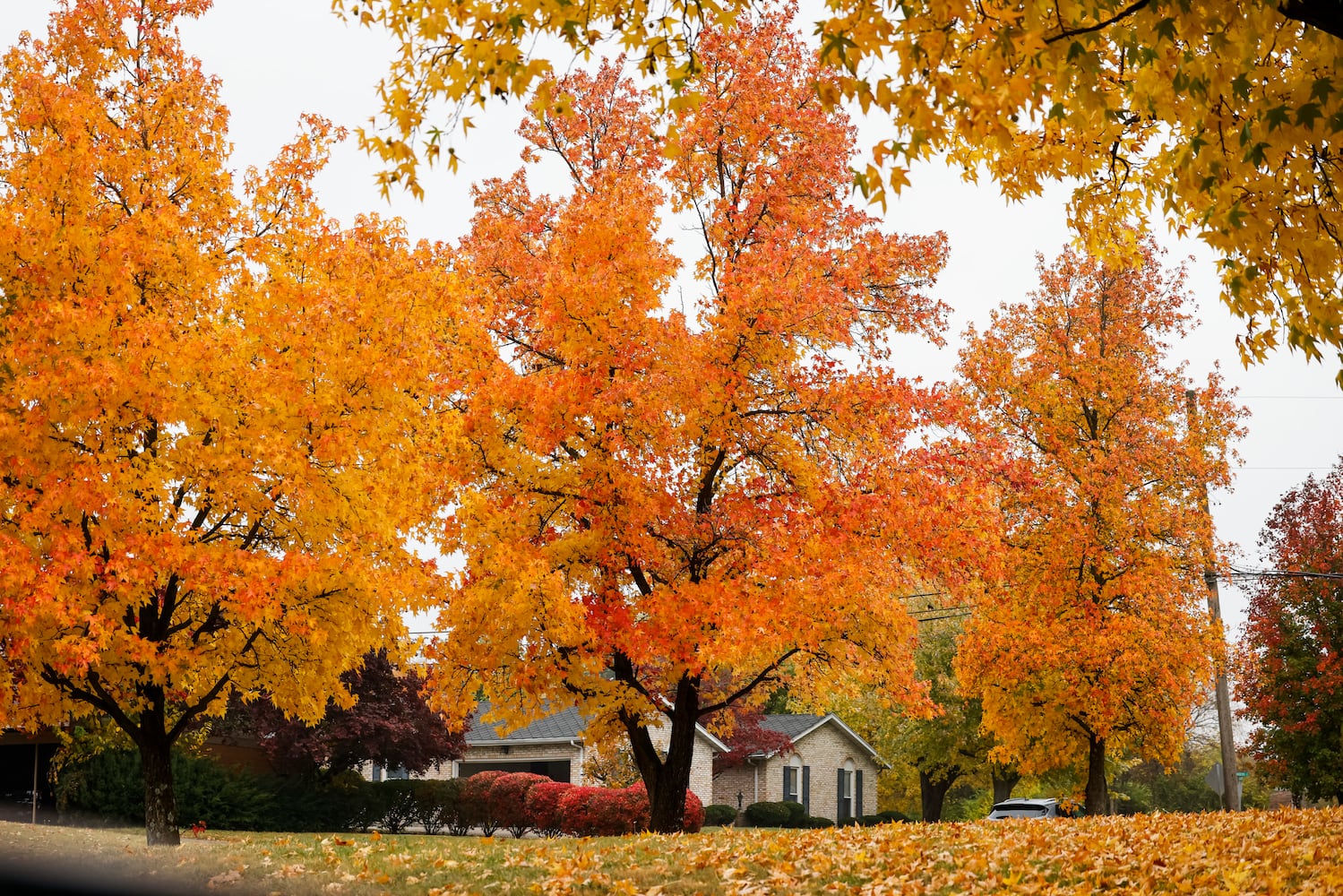 102622 fall colors butler county