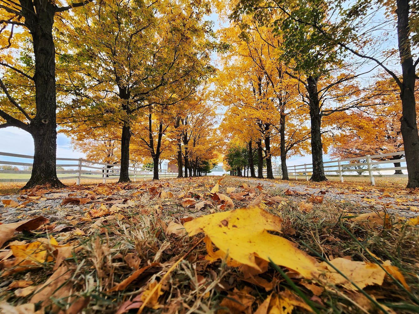 102622 fall colors Butler County