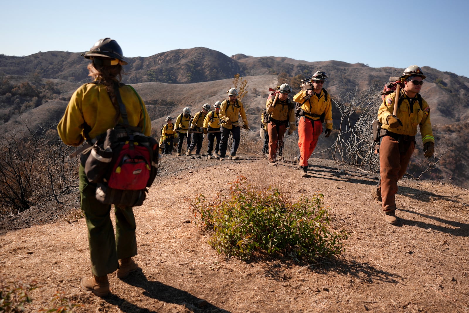 Fire crews work the burn zone of the Palisades Fire in Mandeville Canyon Thursday, Jan. 16, 2025, in Los Angeles. (AP Photo/Jae C. Hong)