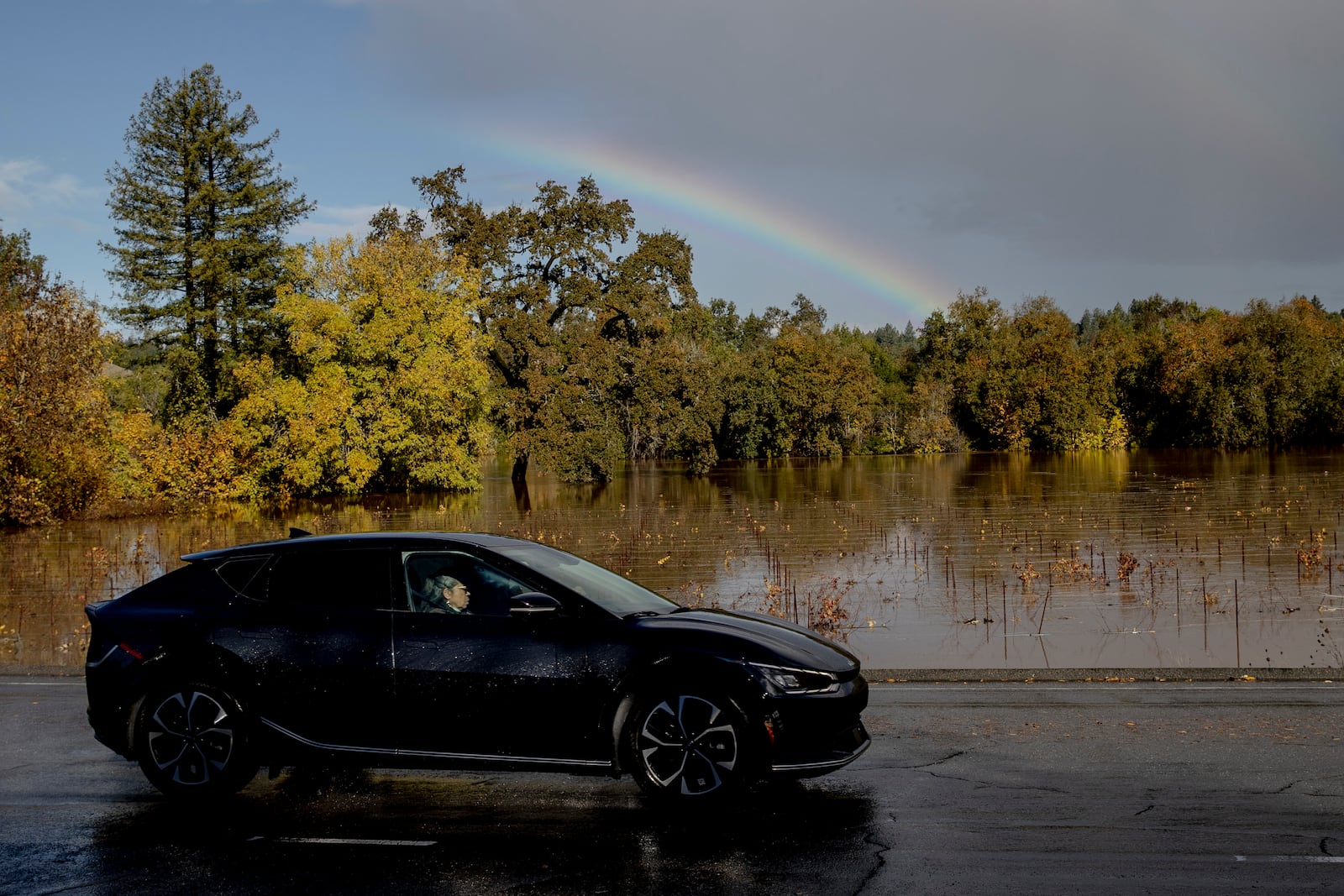 A rainbow is seen as a vehicle drives past a flooded vineyard after a major storm in Forestville, Calif., Saturday, Nov. 23, 2024. (Stephen Lam/San Francisco Chronicle via AP)