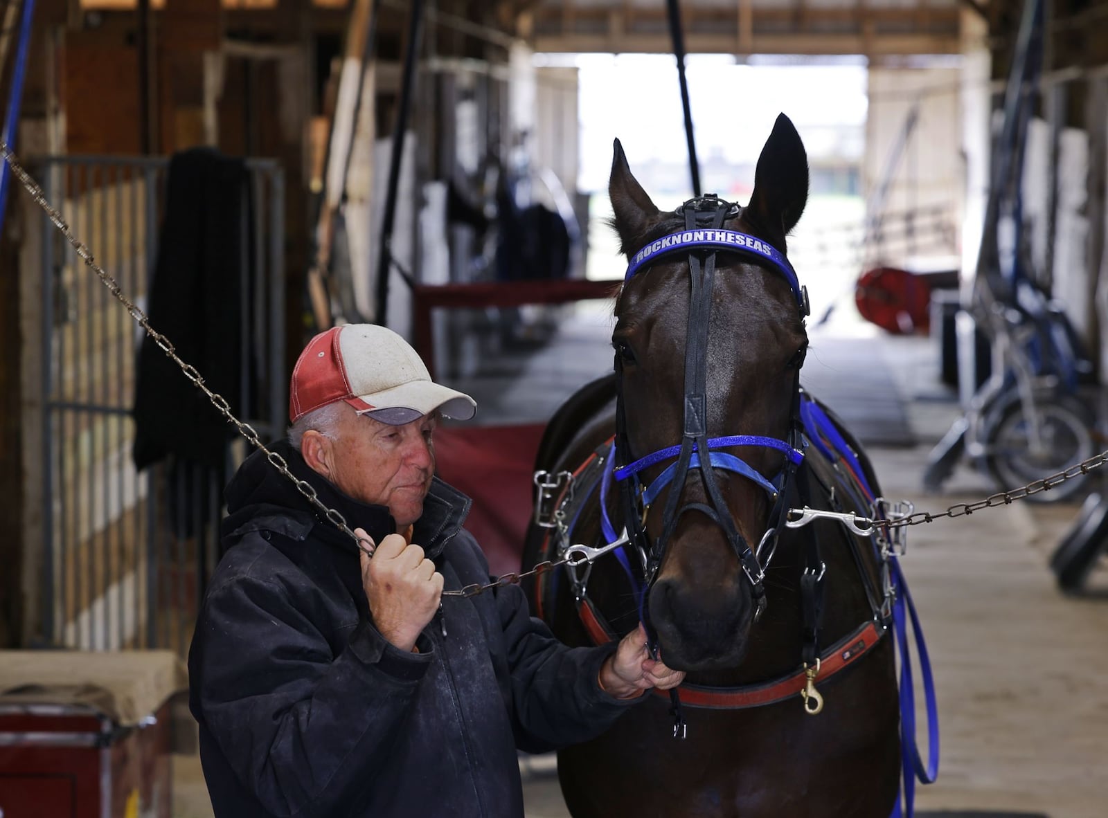 Bill Boroff gets a horse, Henry, ready for training Friday, Oct 25, 2024 at Warren County Fairgrounds in Lebanon. Warren County Agricultural Society voted to end harness racing training and close all barns housing 300-plus horses at Warren County Fairgrounds on Dec. 1. NICK GRAHAM/STAFF