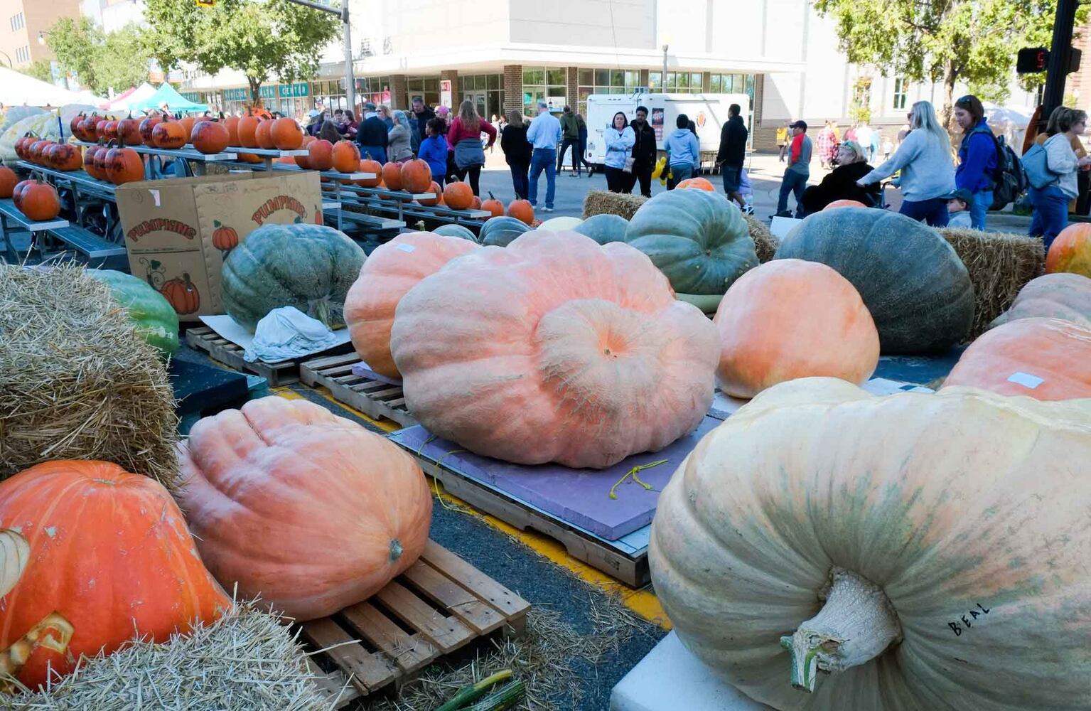 PHOTOS: Did we spot you at the Operation Pumpkin festival in Hamilton this weekend?