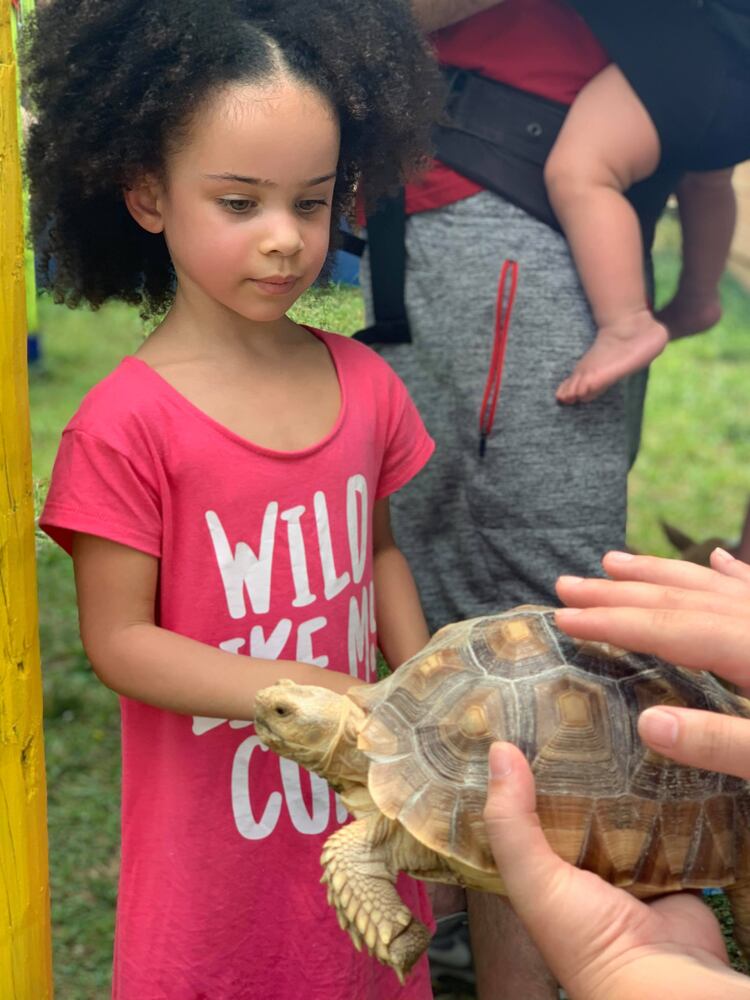 PHOTOS: Wild Hearts African Farm is a little slice of paradise