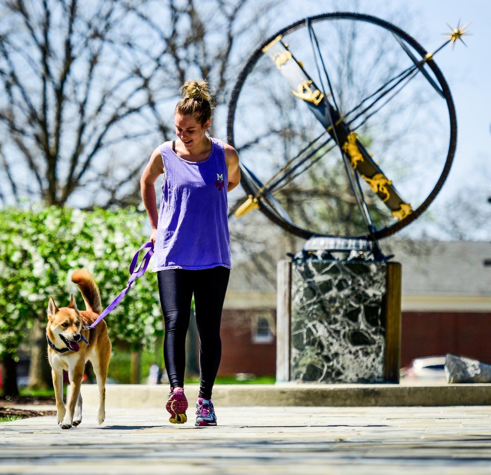 Miami University sophomore Paige Hepner walks with her Emotional Support dog, Arlo, Wednesday, April 12 on the Miami University Campus in Oxford. 