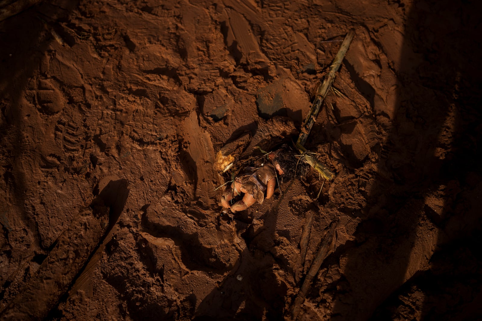 A doll covered in mud is pictured in an area affected by floods in Valencia, Spain, Saturday, Nov. 2, 2024. (AP Photo/Manu Fernandez)