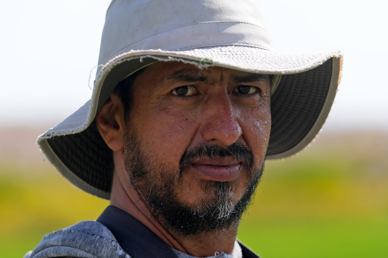 A immigrant worker with a H-2A visa irrigates a field on the Baker Ranch Monday, Sept. 9, 2024, in Baker, Nevada. (AP Photo/Rick Bowmer)