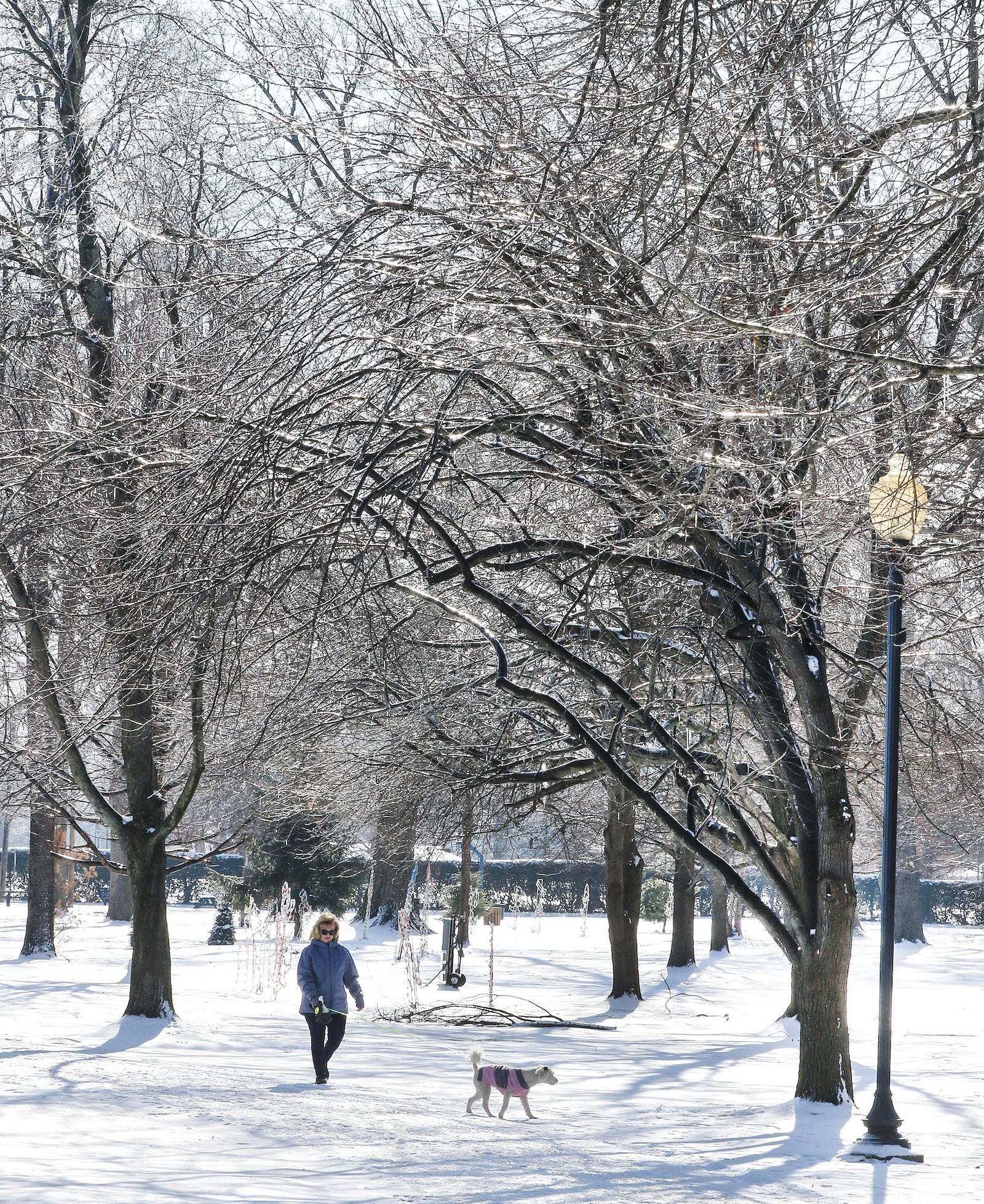 Stacy Whitehead walks with her dog, Dolly, as the sun highlights the ice-covered limbs above the walking trail at Legion Park in Owensboro, Ky., Thursday, Jan. 9, 2025. (Alan Warren/The Messenger-Inquirer via AP)