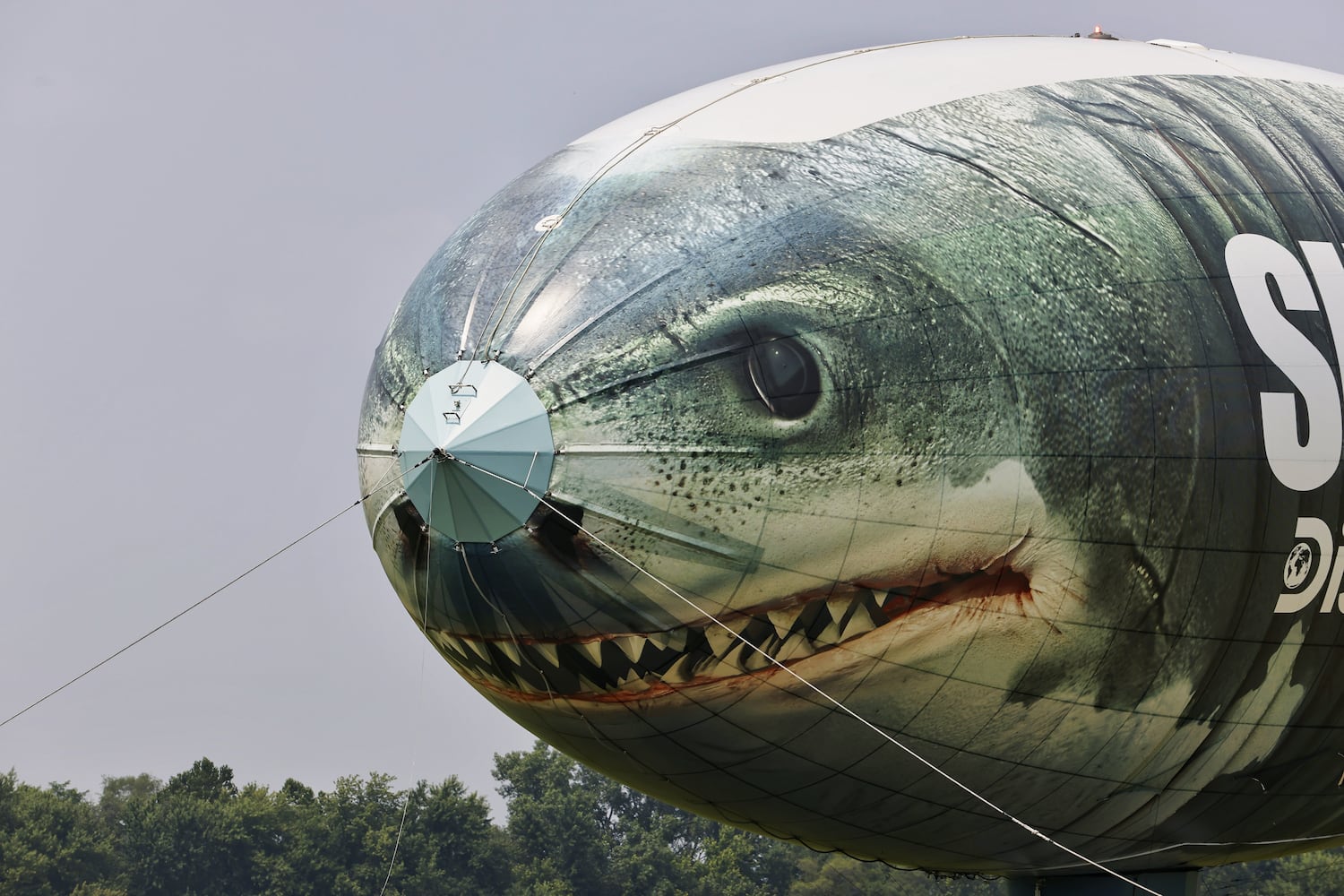 072021 shark blimp