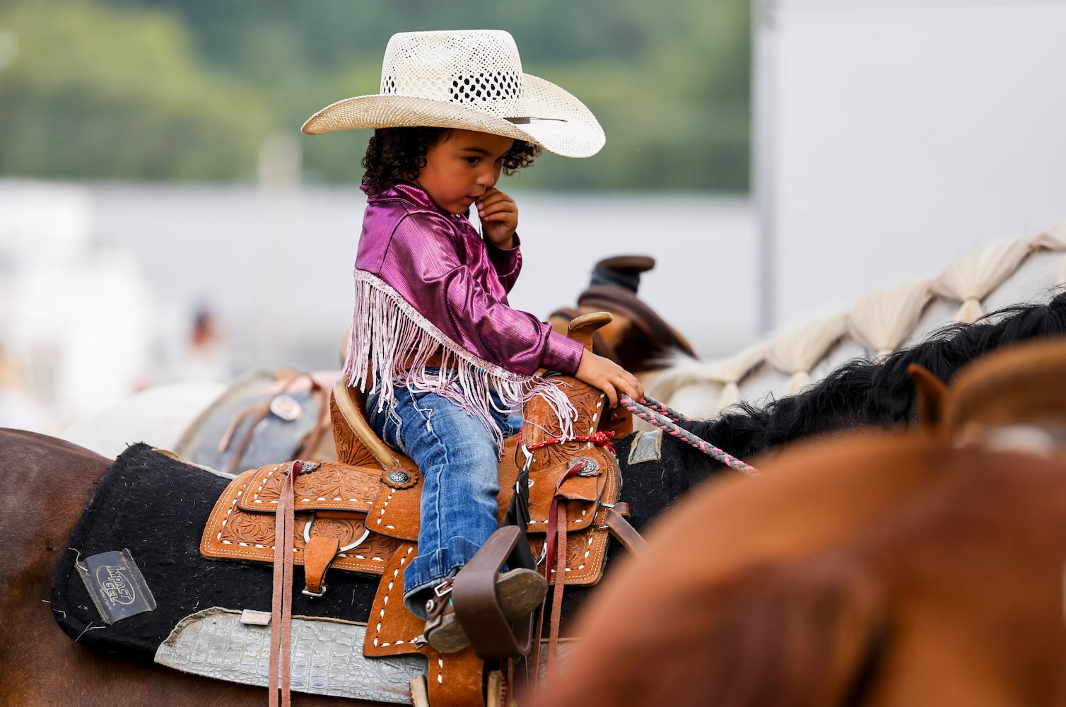 072523 BC Fair Broken Horn Rodeo