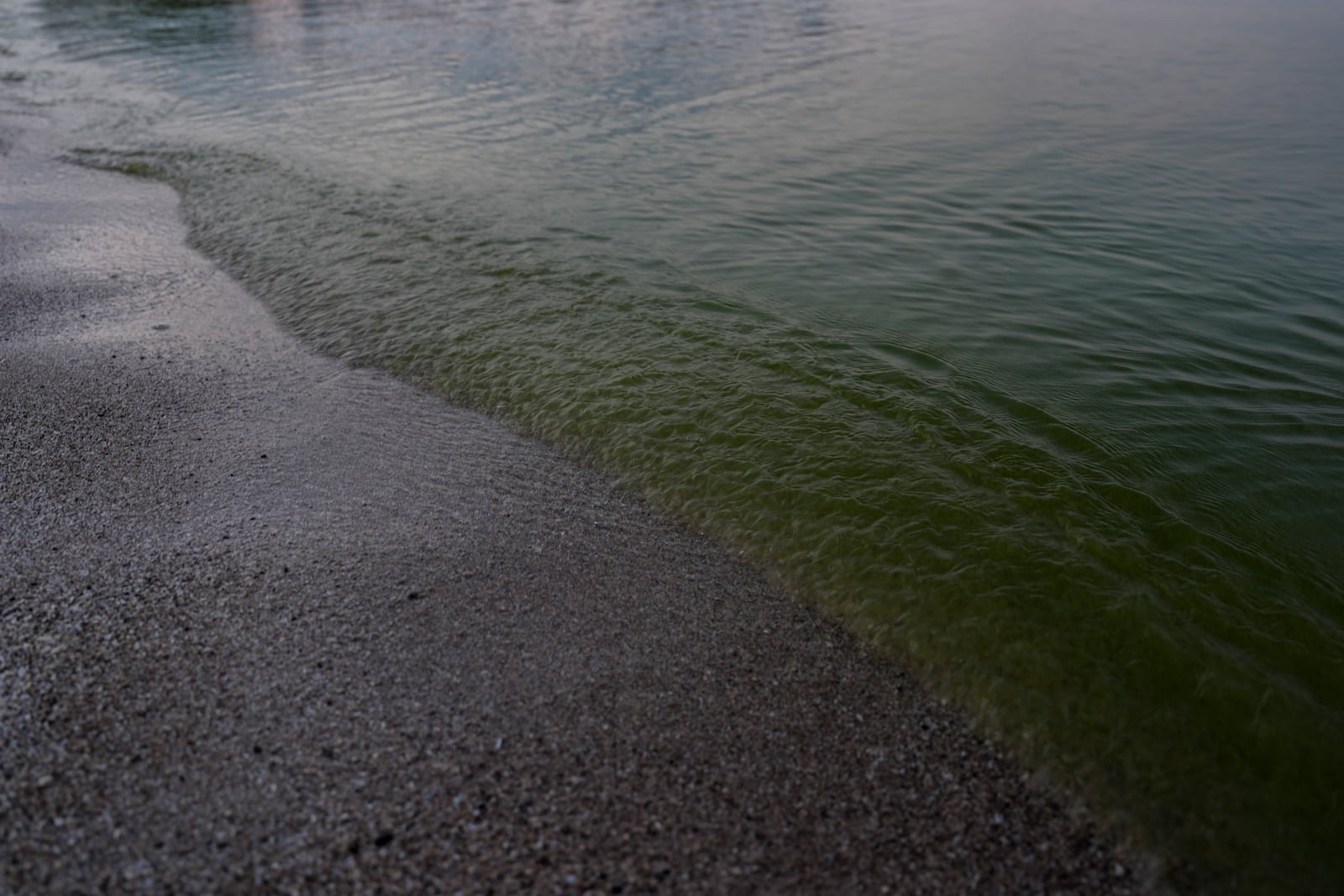 Water flows along the shore of Lake Erie during an algal bloom, Monday, Aug. 26, 2024, at Maumee Bay State Park in Oregon, Ohio. (AP Photo/Joshua A. Bickel)