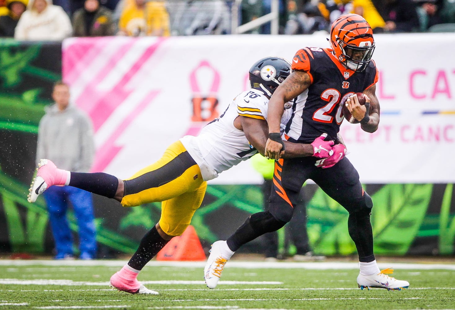 Cincinnati Bengals vs Pittsburgh Steelers football