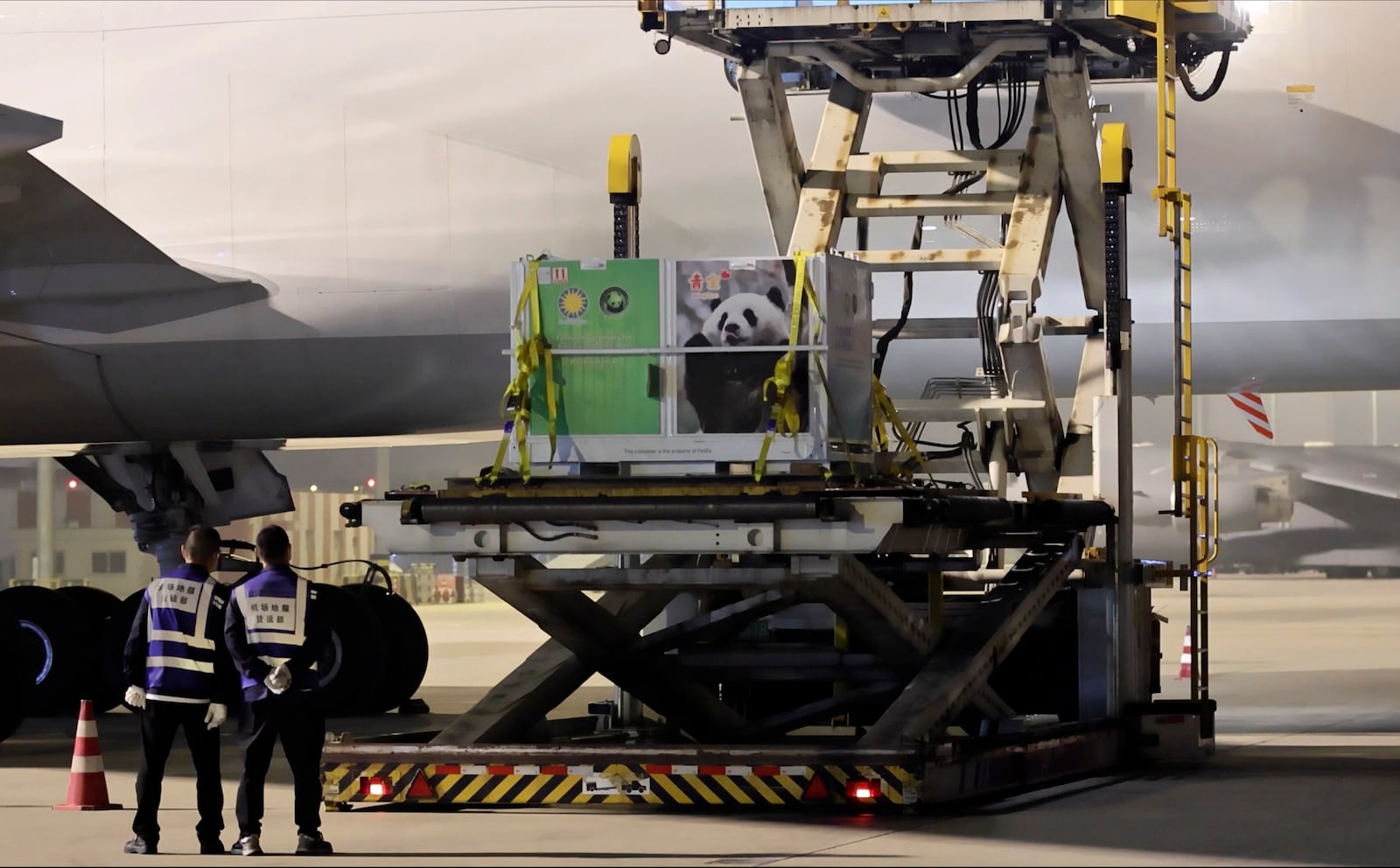 In this image taken from video and released by China's National Forestry and Grassland Administration, a cage containing female giant panda Qing Bao is loaded onto a plane at the Chengdu Shuangliu International Airport in southwestern China's Sichuan province on Monday, Oct. 14, 2024. (Jin Tao/China's National Forestry and Grassland Administration via AP)