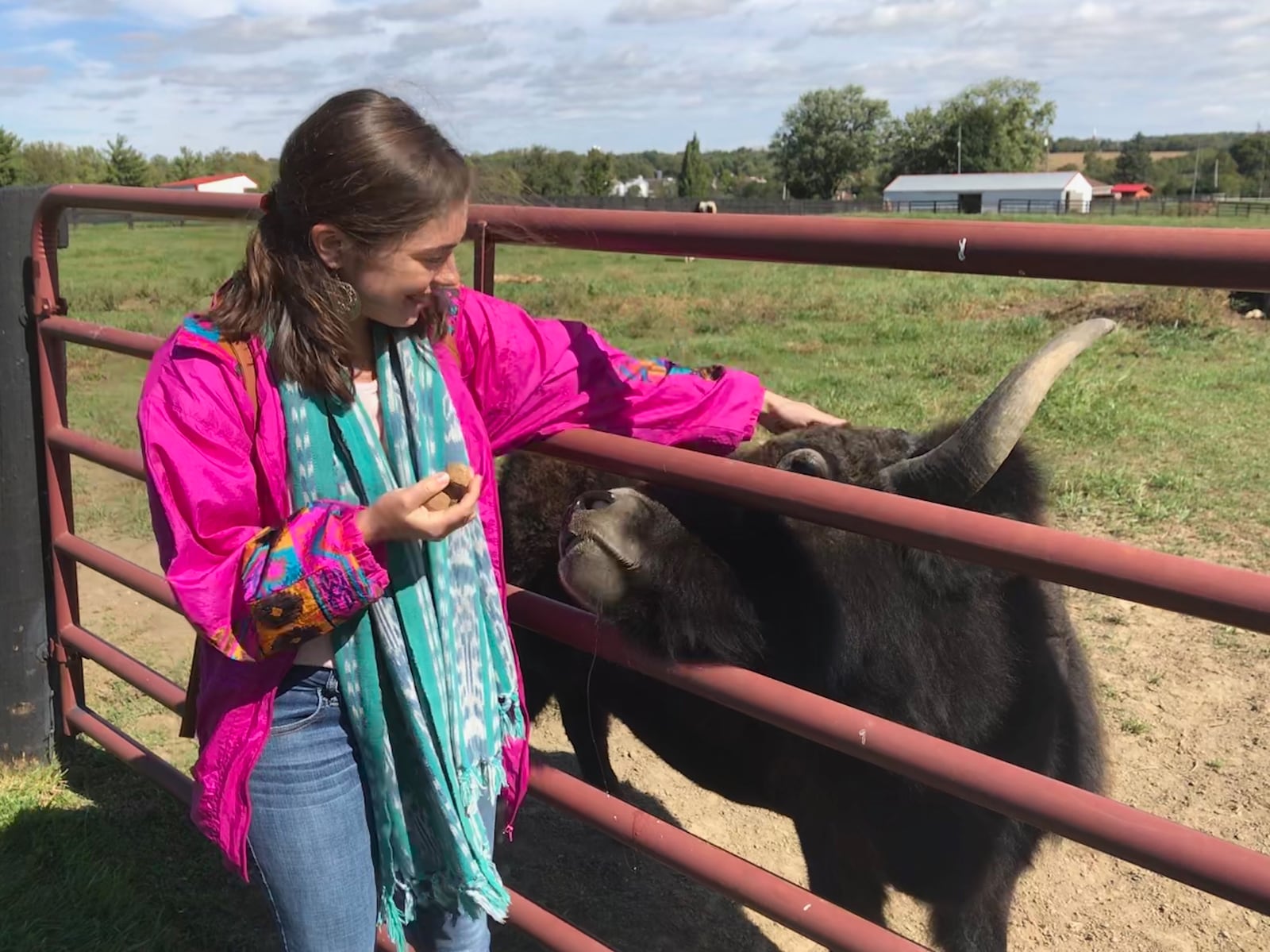 OH Yaks in Lebanon is the largest registered yak farm in Ohio.