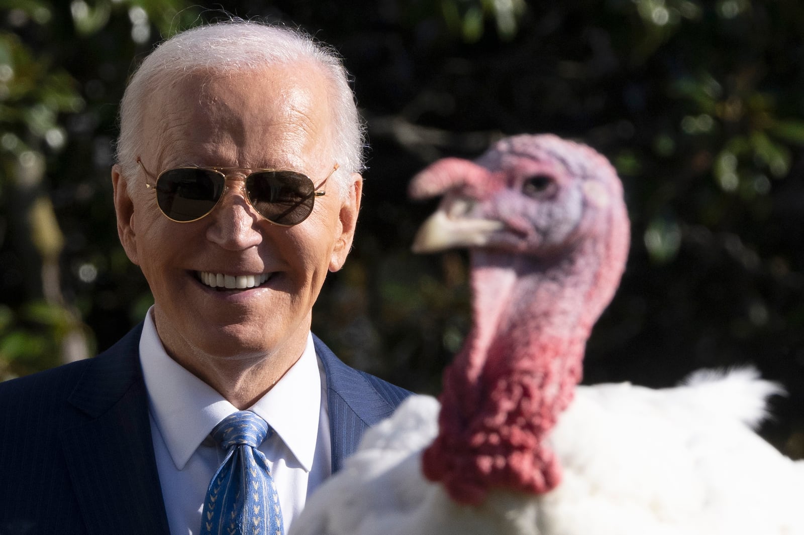 President Joe Biden stands with one of the national Thanksgiving turkeys, Peach, during a pardoning ceremony on the South Lawn of the White House in Washington, Monday, Nov. 25, 2024. (AP Photo/Mark Schiefelbein)