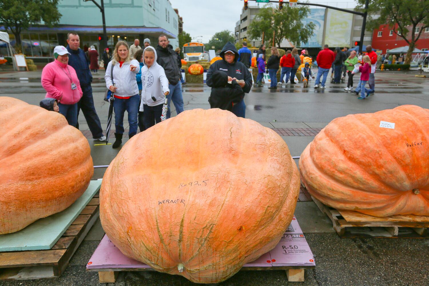 PHOTOS Operation Pumpkin through the years.