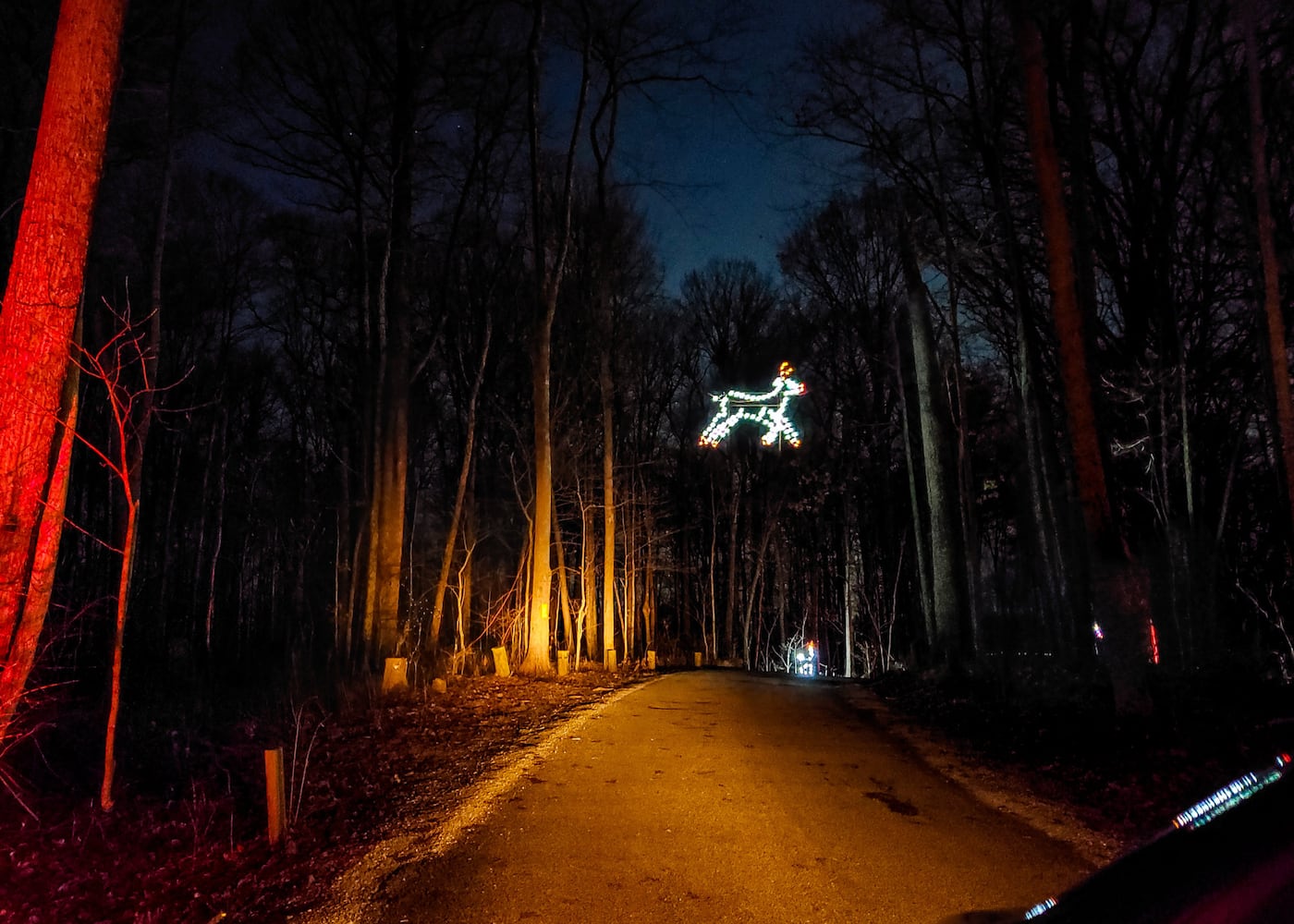 Fort Saint Clair Whispering Christmas light display in Eaton