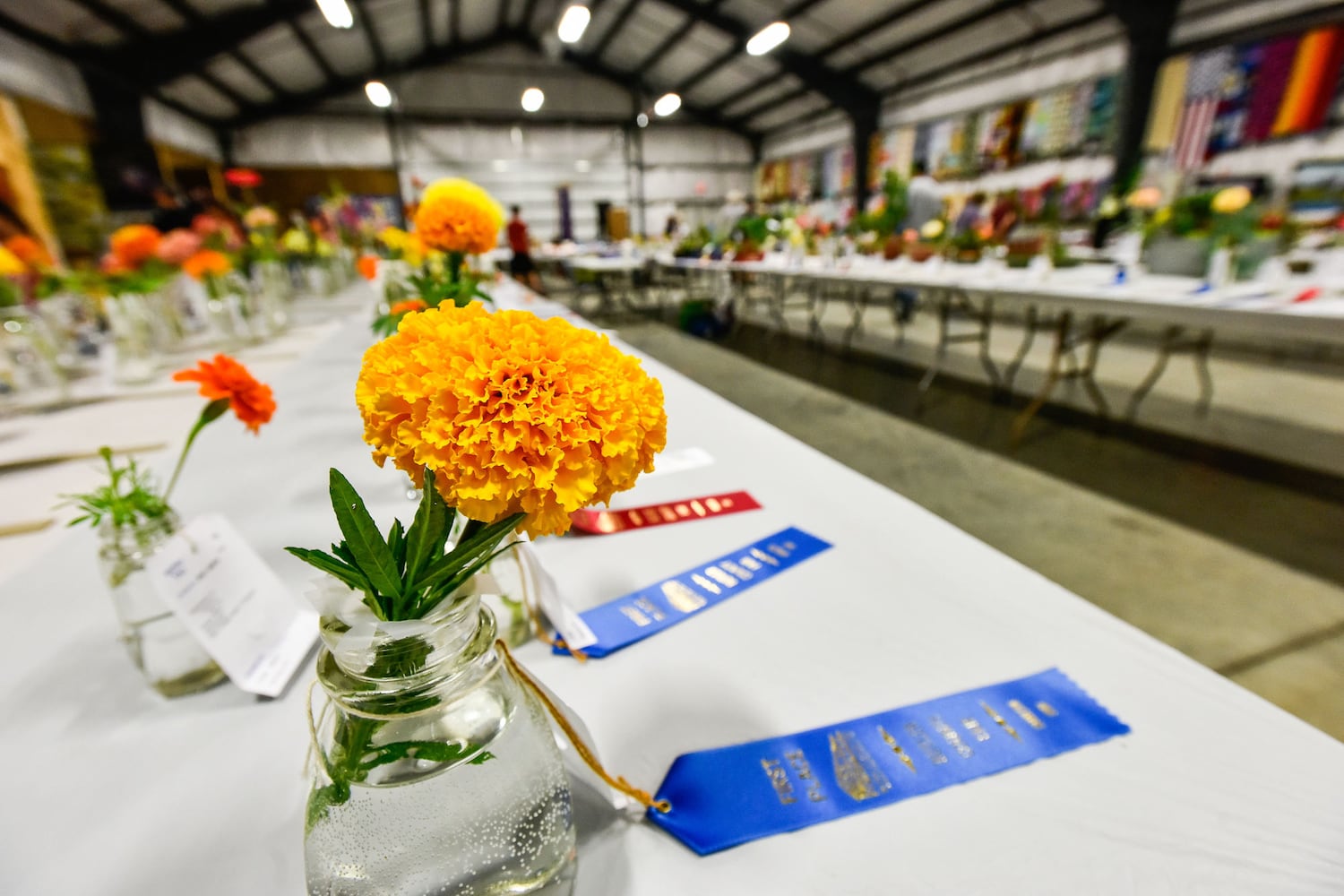 Butler County Fair 2018