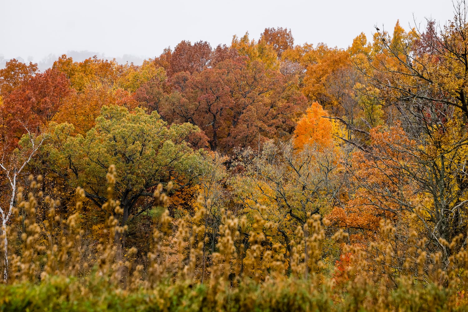 102622 fall colors butler county