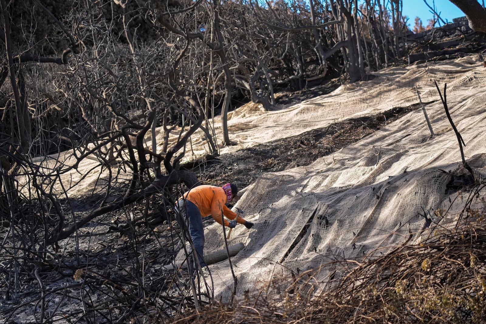 Workers secure a net to prevent mudslides over the burned side of a mansion as President Donald Trump is set to tour the Palisades Fire zone damage in the Pacific Palisades neighborhood of Los Angeles, Friday, Jan. 24, 2025. (AP Photo/Damian Dovarganes)