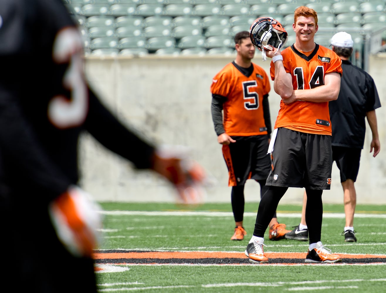 PHOTOS Andy Dalton through the years