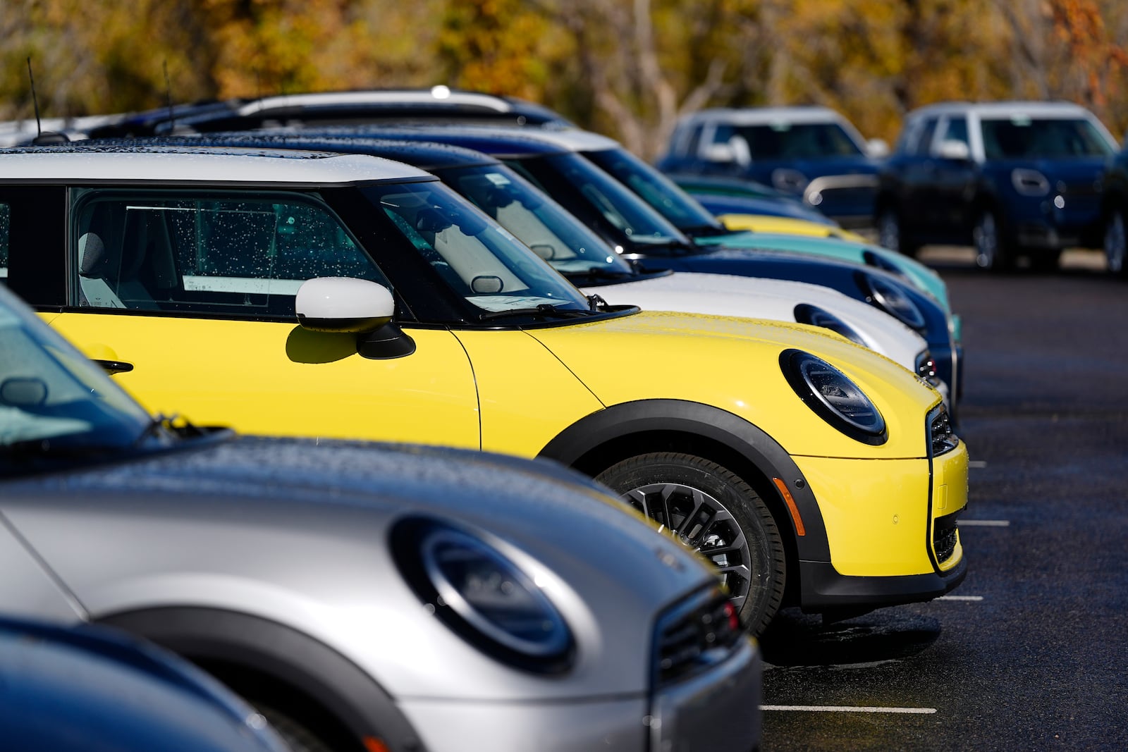 FILE - Unsold 2025 Cooper S hardtops are displayed at a Mini dealership on Oct. 21, 2024, in Highlands Ranch, Colo. (AP Photo/David Zalubowski, File)