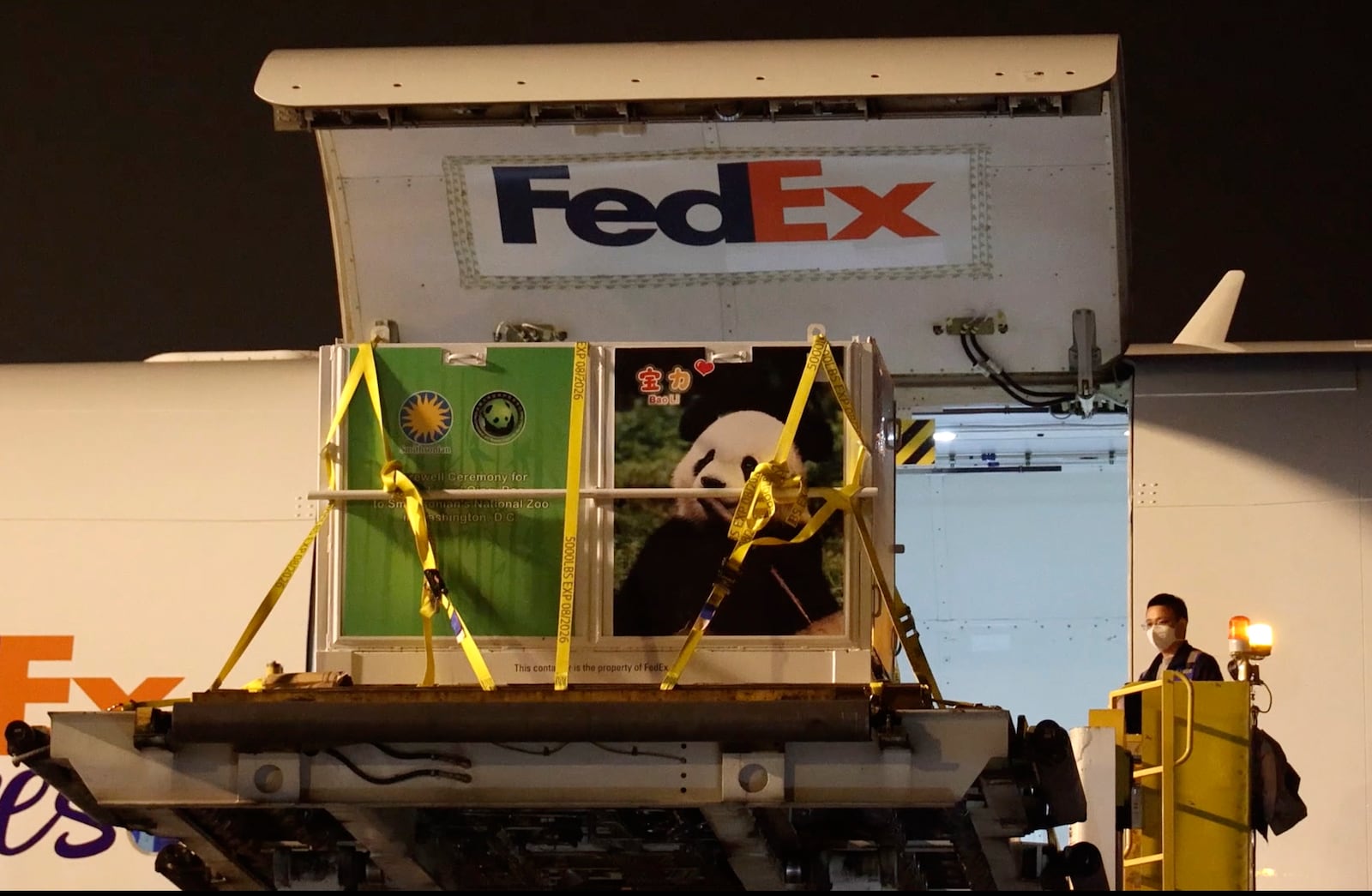 In this image taken from video and released by China's National Forestry and Grassland Administration, a cage containing male giant panda Bao Li is loaded onto a plane at the Chengdu Shuangliu International Airport in southwestern China's Sichuan province on Monday, Oct. 14, 2024. (Jin Tao/China's National Forestry and Grassland Administration via AP)