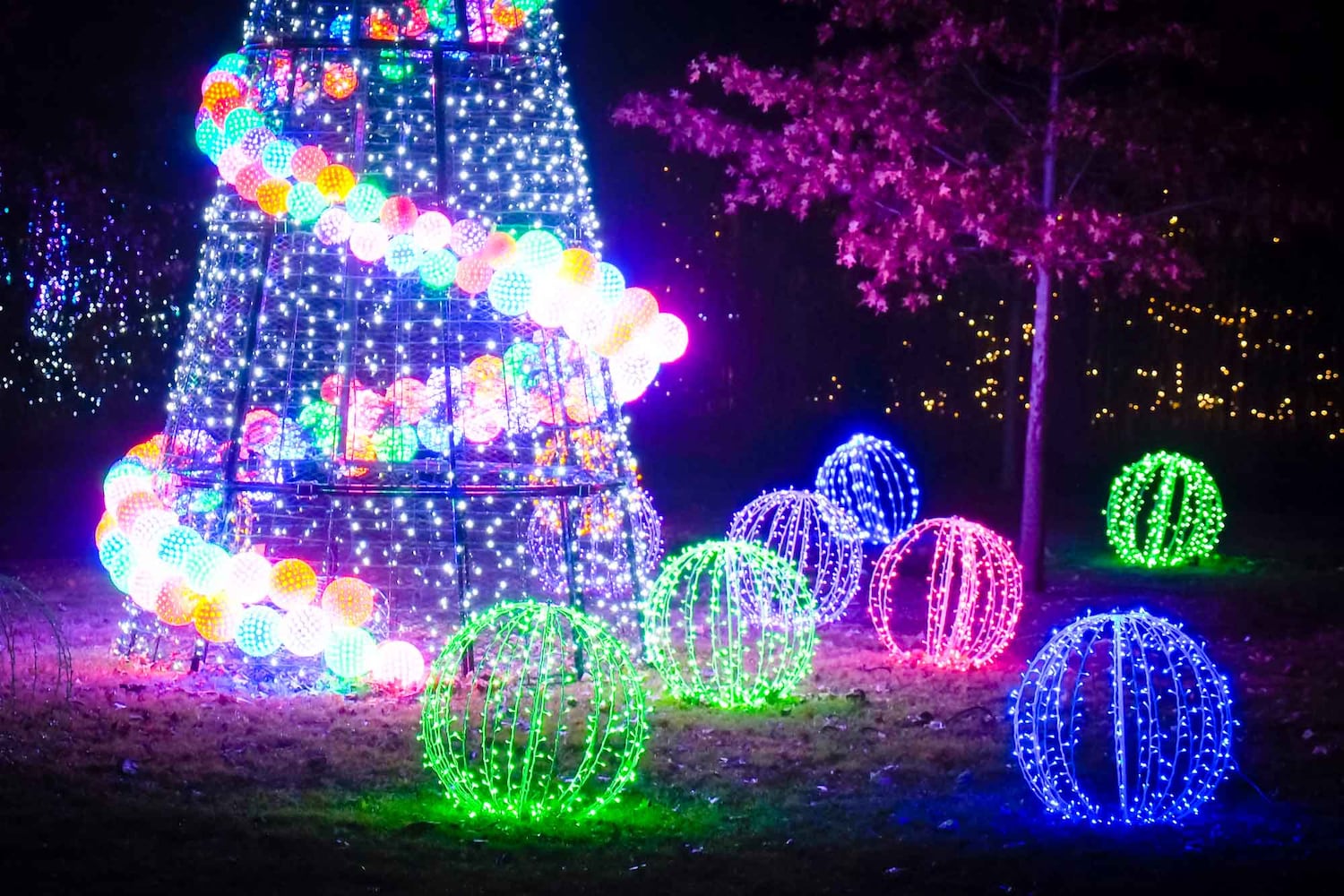 PHOTOS Cincinnati Zoo Festival of Lights 2019