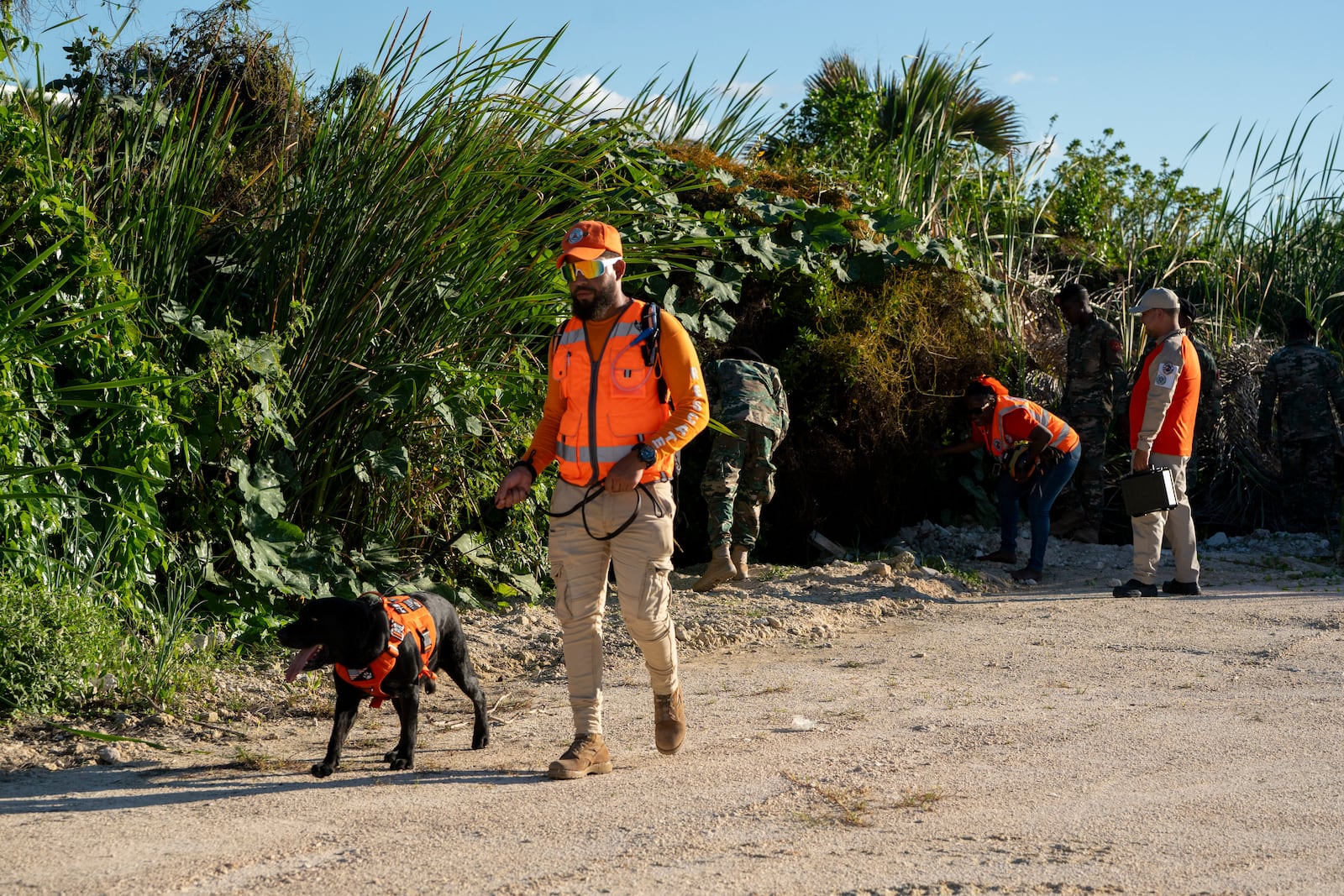 A member of civil defense canine unit searches for Sudiksha Konanki, a university student from the U.S. who disappeared on a beach in Punta Cana, Dominican Republic, Monday, March. 10, 2025. (AP Photo/Francesco Spotorno)