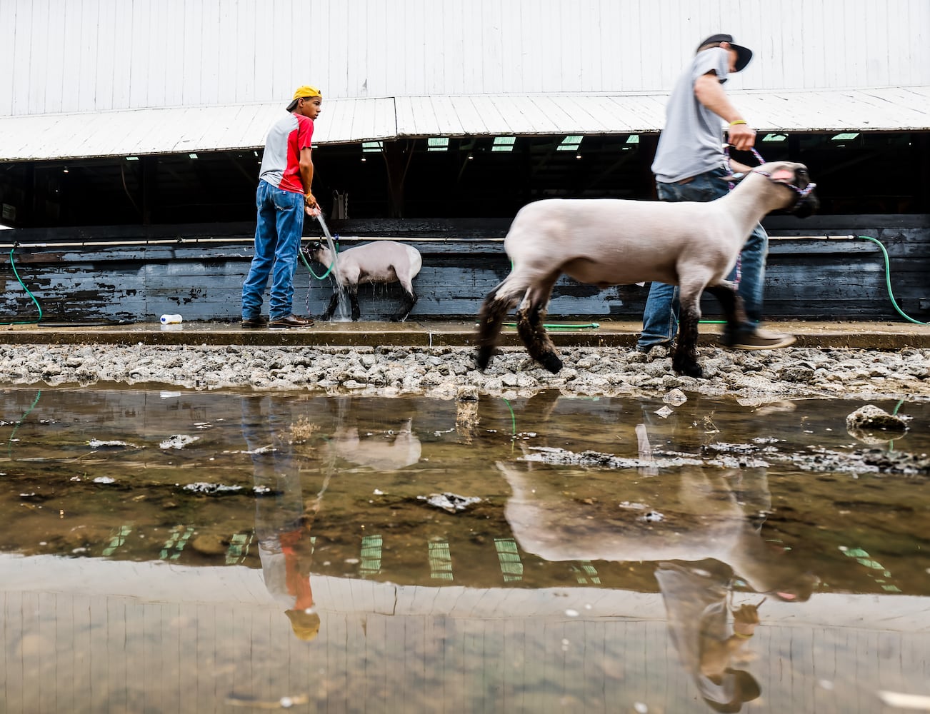 072921 BC Fair