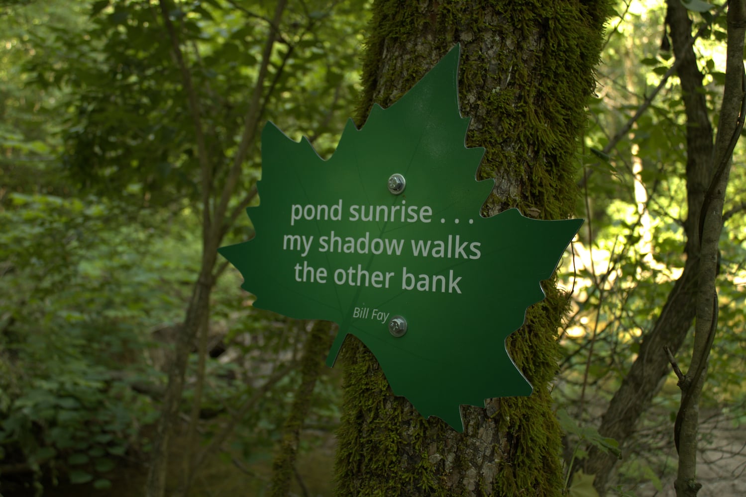 Hueston Woods Haiku Trail 02