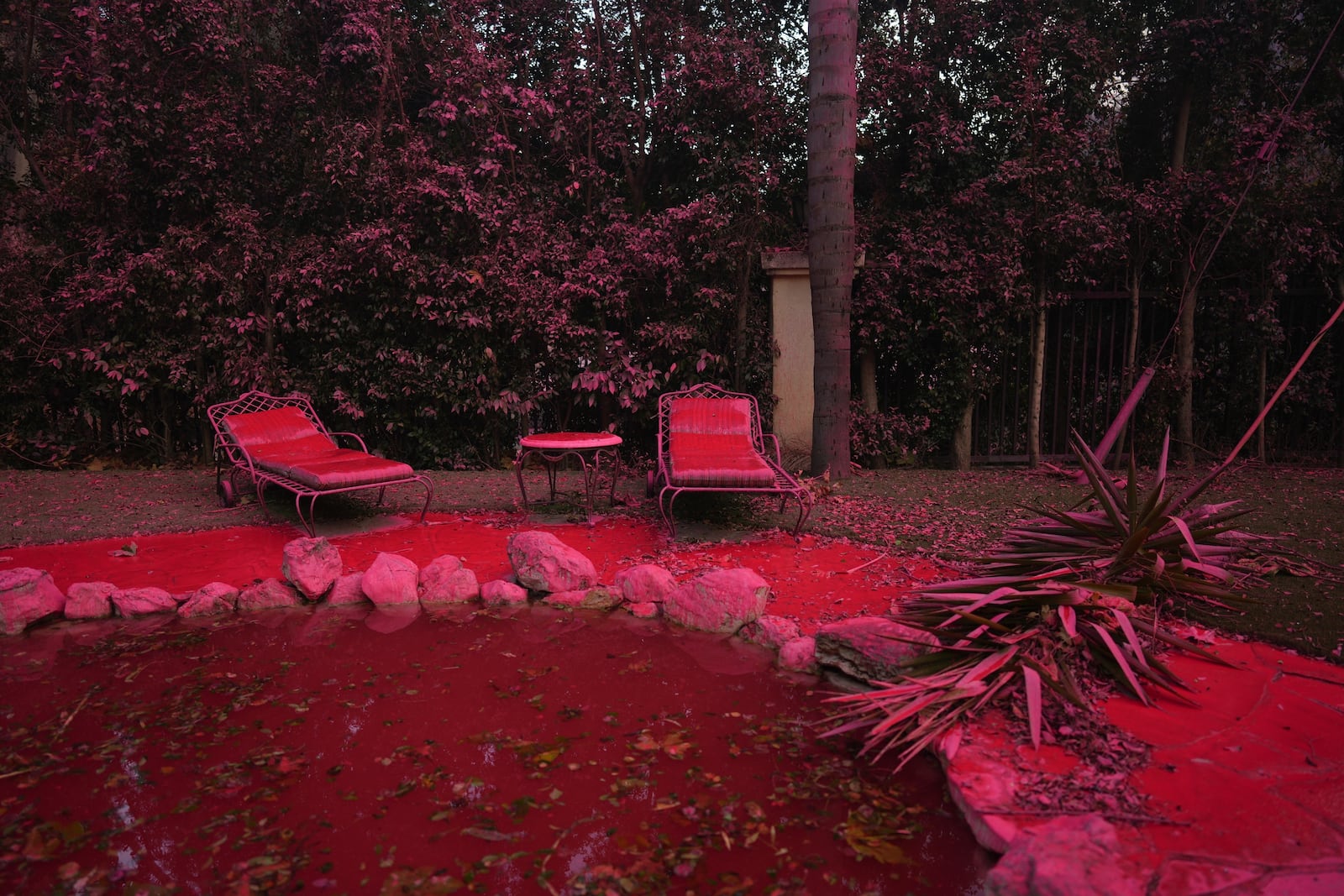 FILE - Fire retardant covers a backyard in Mandeville Canyon during the Palisades Fire, Jan. 11, 2025, in Los Angeles. (AP Photo/Eric Thayer)