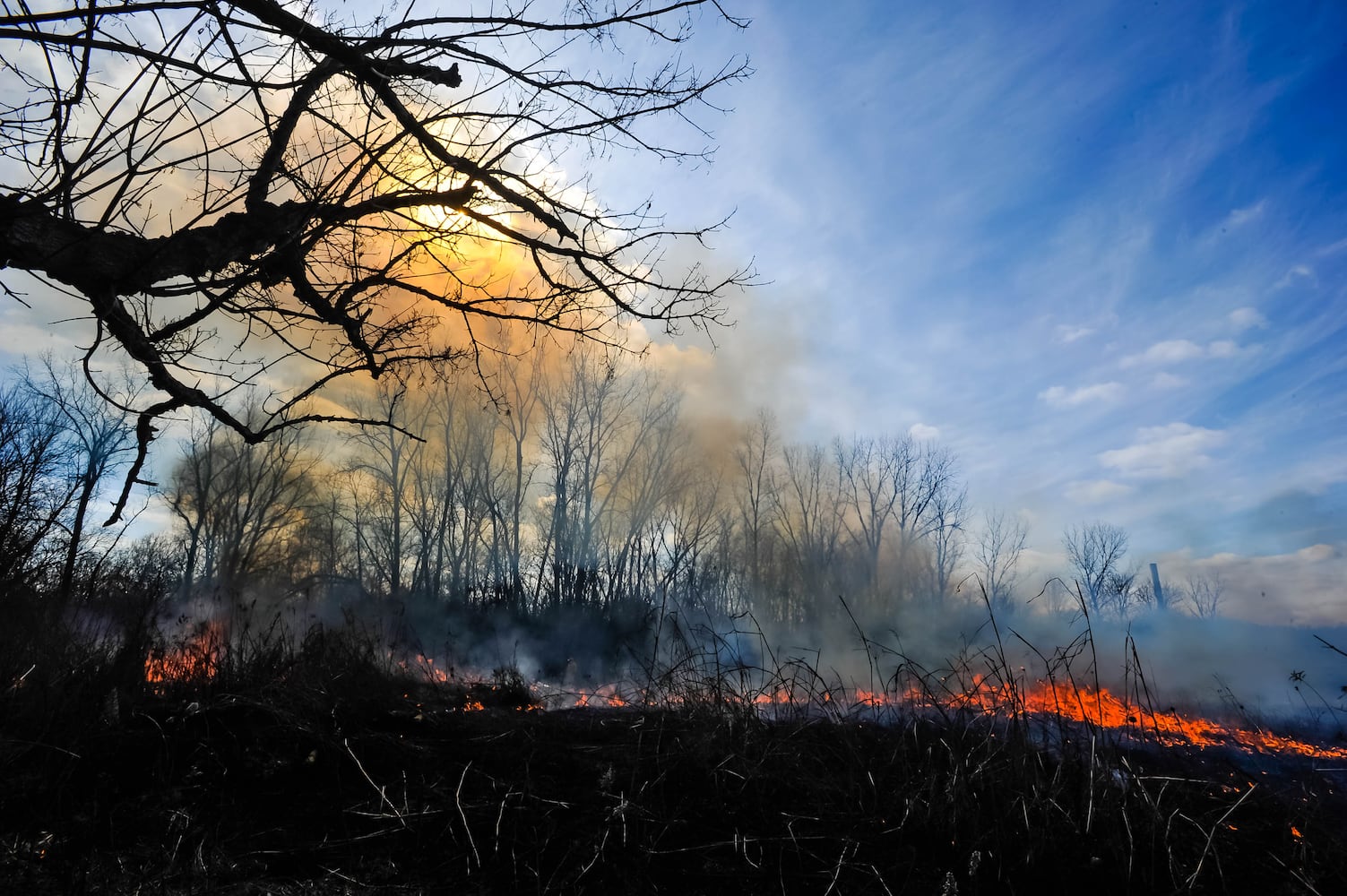 Controlled burns at Riverside Natural Area in Hamilton