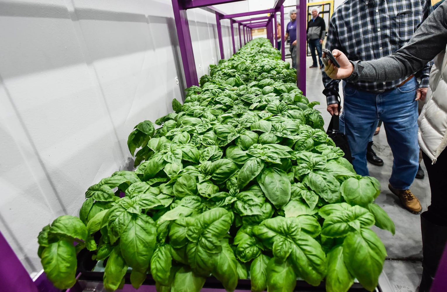 80 Acres Farm indoor grow facility in Hamilton