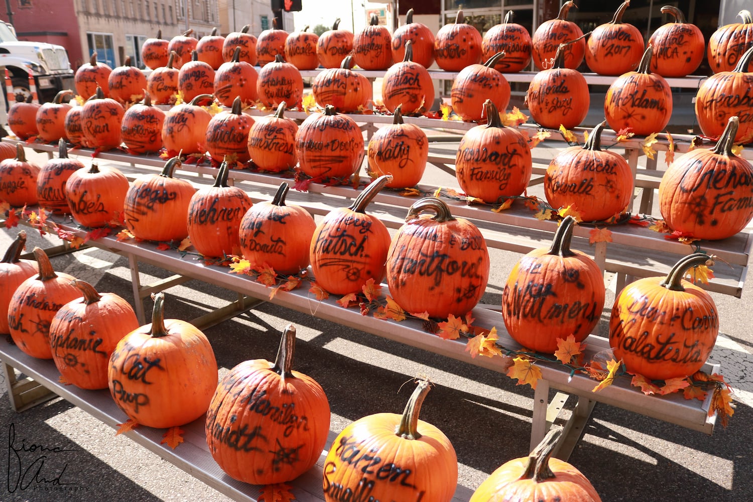 PHOTOS Operation Pumpkin through the years.