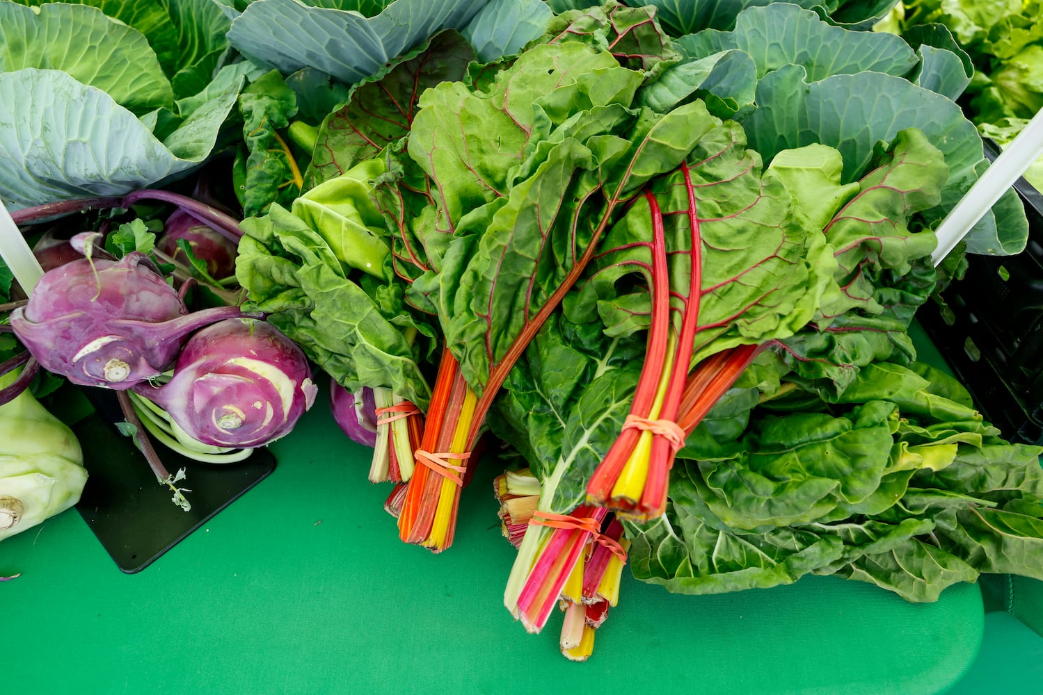 061423 Middletown Farmers Market