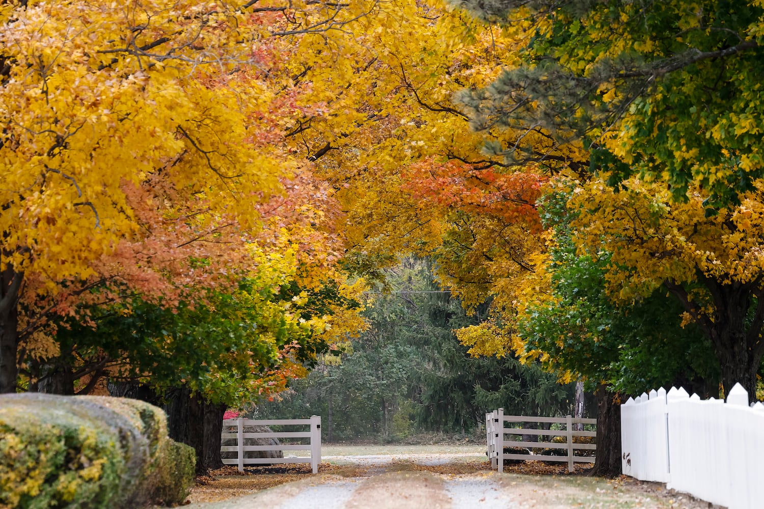 102622 fall colors butler county