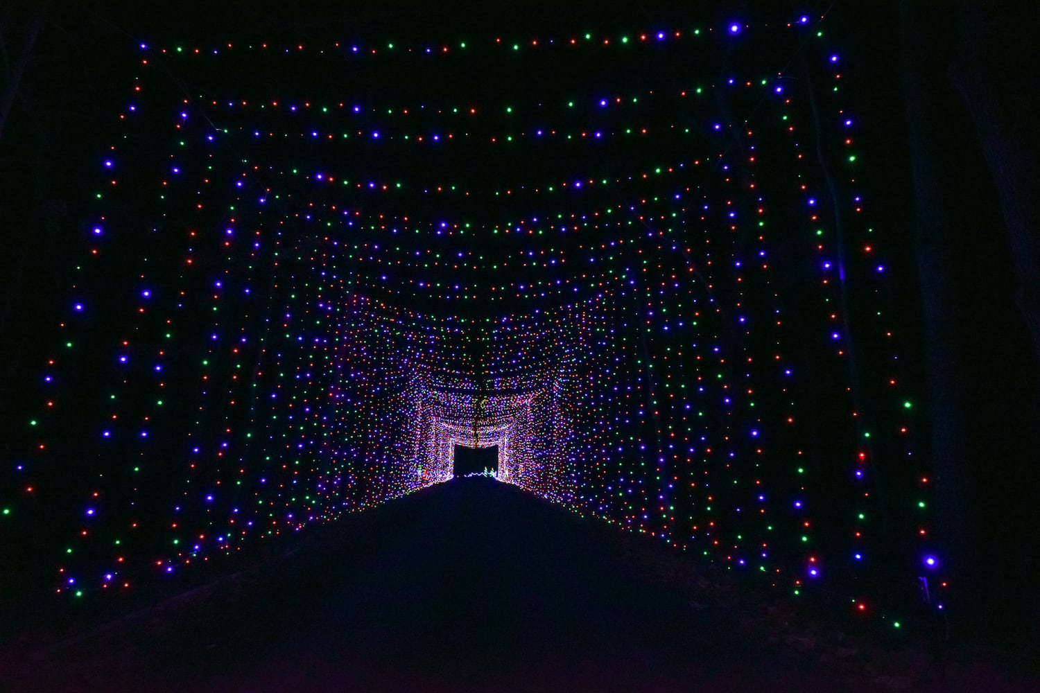 Land of Illusion Christmas Glow